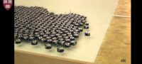 Picture Watch As The Most Massive Robotic Swarm Work Together To Form Complex Shapes
