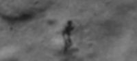 Picture Shadow Of Alien Like Creature Sighted On The Moon