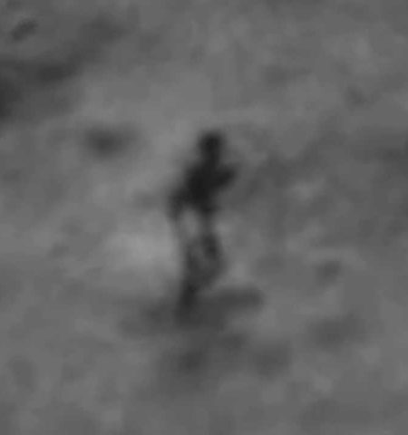 Picture Shadow Of Alien Like Creature Sighted On The Moon