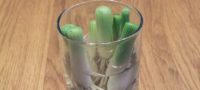 Picture 8 Vegetables You Only Need To Buy Once, Then Can Regrow Forever