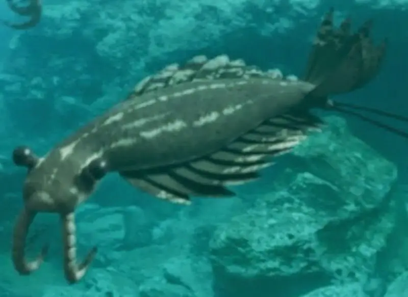 Anomalocaris
