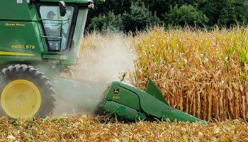 Picture The Truth Behind High Fructose Corn Syrup According To Science.