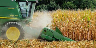 Picture The Truth Behind High Fructose Corn Syrup According To Science.