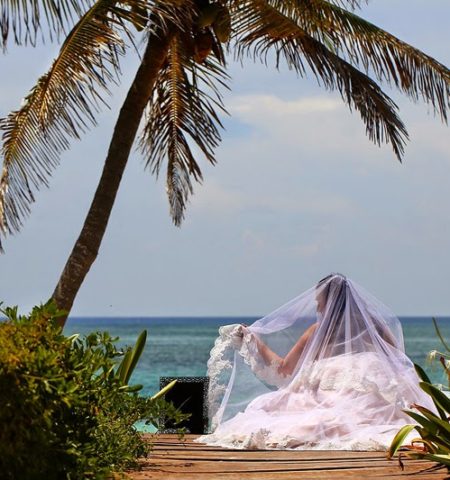 Picture Photos: Incredible Underwater Photo shoot For Bride Who Lost Fiance Days Before Their Wedding