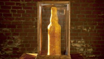 Picture Nature’s 3D Printers: Using 80,000 Honeybees to Create An Amazing Sculpture