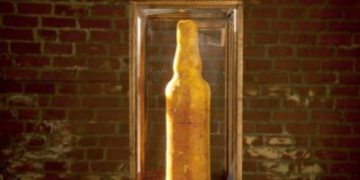 Picture Nature’s 3D Printers: Using 80,000 Honeybees to Create An Amazing Sculpture