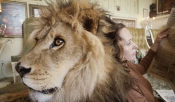 Picture Incredible Photos Of A Family That Lived With A Pet Lion