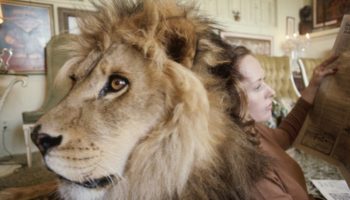 Picture Incredible Photos Of A Family That Lived With A Pet Lion