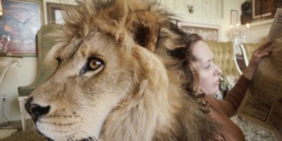Picture Incredible Photos Of A Family That Lived With A Pet Lion