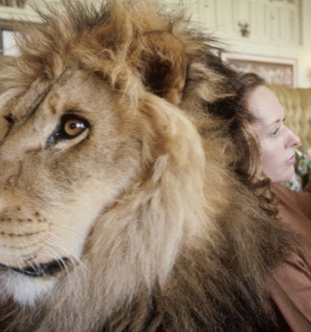 Picture Incredible Photos Of A Family That Lived With A Pet Lion