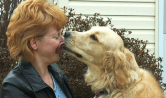 Picture 10 Heroic Animals And How They Saved Human Lives