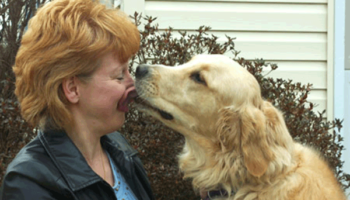 Picture 10 Heroic Animals And How They Saved Human Lives