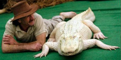 Picture 15 Rare And Unique Albino Animals