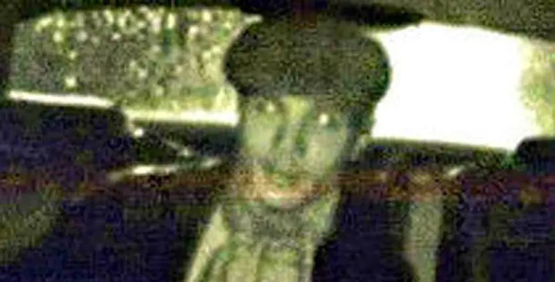 Joshua Rudiger: The Vampire Slasher Joshua Rudiger: The Vampire Slasher