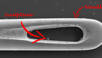 Picture These Sculptures Are so small You Can’t See Them with Your Naked Eye