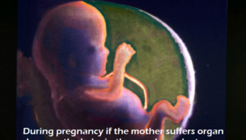 Picture Extraordinary Facts About Human Body Functions Everyone Should Know!