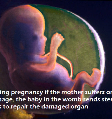 Picture Extraordinary Facts About Human Body Functions Everyone Should Know!