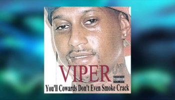 Picture An American artist named Viper released 347 albums in 2014 alone that is almost one album per day