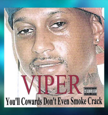 Picture An American artist named Viper released 347 albums in 2014 alone that is almost one album per day