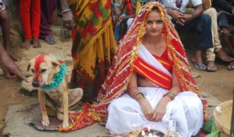 Picture A Woman was once forced to Marry a Dog