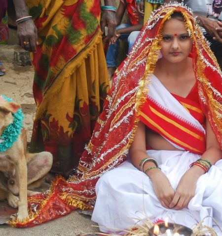 Picture A Woman was once forced to Marry a Dog
