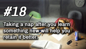 Picture 23 Facts About The Brain To Help You Better Understand Yourself!