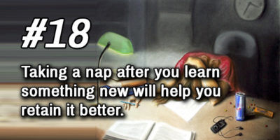 Picture 23 Facts About The Brain To Help You Better Understand Yourself!