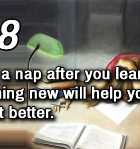 Picture 23 Facts About The Brain To Help You Better Understand Yourself!