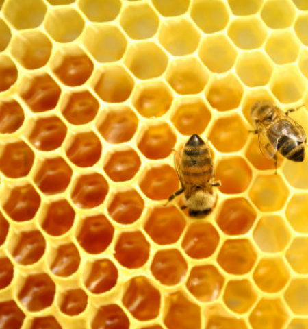 Picture 12 Astounding Facts About Food Not Many People Know About