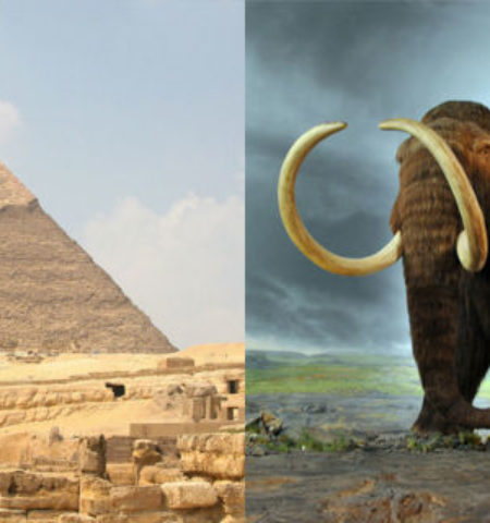 Picture 21 Mind-Warping Time Comparison Facts That Show Just How Rapidly We Are Evolving