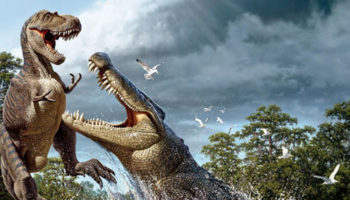 Picture Believe It Or Not! 15 Extraordinary Animal Facts That Are Hard To Digest!