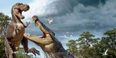 Picture Believe It Or Not! 15 Extraordinary Animal Facts That Are Hard To Digest!