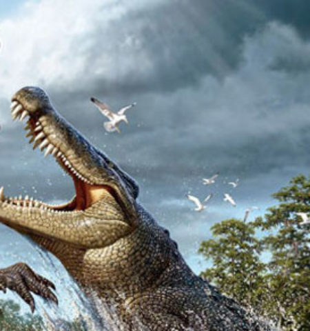 Picture Believe It Or Not! 15 Extraordinary Animal Facts That Are Hard To Digest!