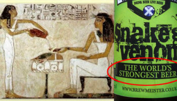 Picture 15 Surprising Beer Facts That Every Beer Lover Must Know!