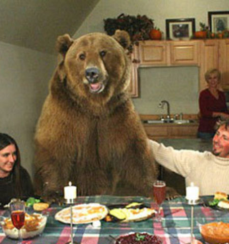 Picture 16 Unbelievable Photos That Are Hard To Believe Aren’t Photoshopped