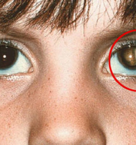 Picture 15 Incredible Life-Saving Facts That Everyone Should Know!