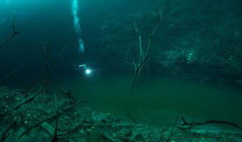 Picture There Exists an Underwater River in Mexico and Its Pictures Will Leave You Stunned!