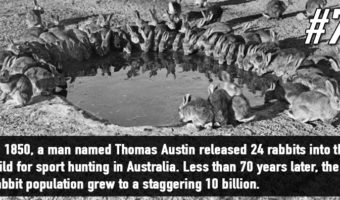 Picture 18 Unbelievable Facts That Sound Like Total Bullshit!