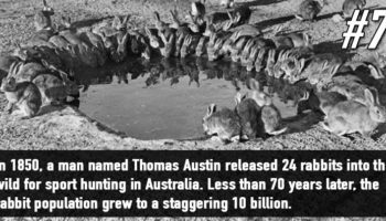 Picture 18 Unbelievable Facts That Sound Like Total Bullshit!