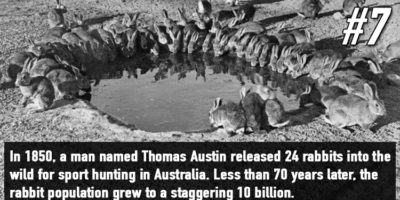 Picture 18 Unbelievable Facts That Sound Like Total Bullshit!