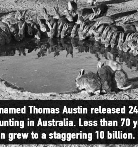 Picture 18 Unbelievable Facts That Sound Like Total Bullshit!