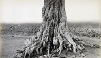 Picture These 8 Horrendous Photos of the Great Madras Famine of 1876-78 Will Have You Reeling