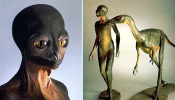 Picture If Dinosaurs had never gone extinct, they might have evolved into “Dinosauroids”.