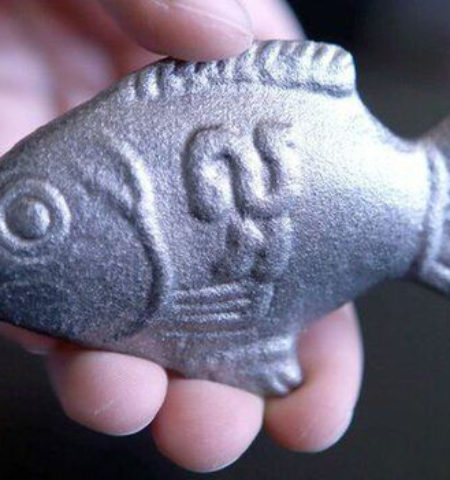 Picture Forget Iron Man; these iron fishes are the ones saving lives in rural Cambodia.