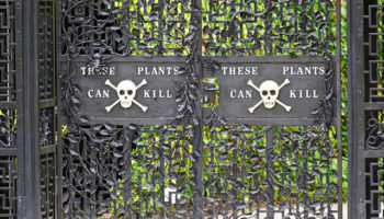 Picture England’s Poison Garden Has Some Of The Deadliest Plants On The Planet. It’s Surreal.