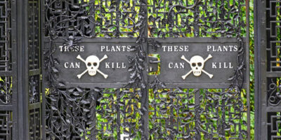 Picture England’s Poison Garden Has Some Of The Deadliest Plants On The Planet. It’s Surreal.