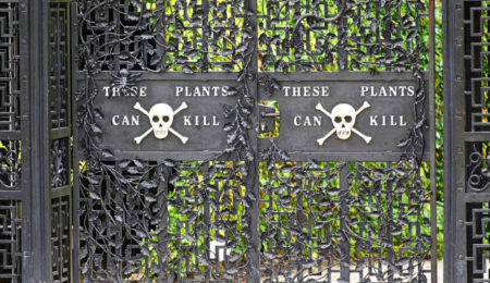 Picture England’s Poison Garden Has Some Of The Deadliest Plants On The Planet. It’s Surreal.