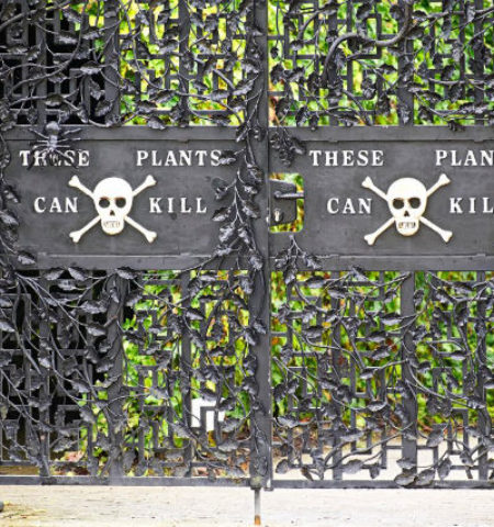 Picture England’s Poison Garden Has Some Of The Deadliest Plants On The Planet. It’s Surreal.