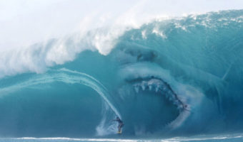 Picture 10 Colossal Facts About Megalodon Sharks That Will Leave You Stunned!