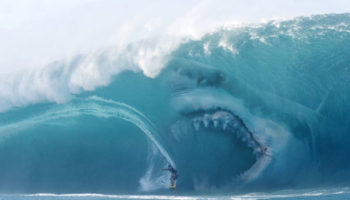 Picture 10 Colossal Facts About Megalodon Sharks That Will Leave You Stunned!